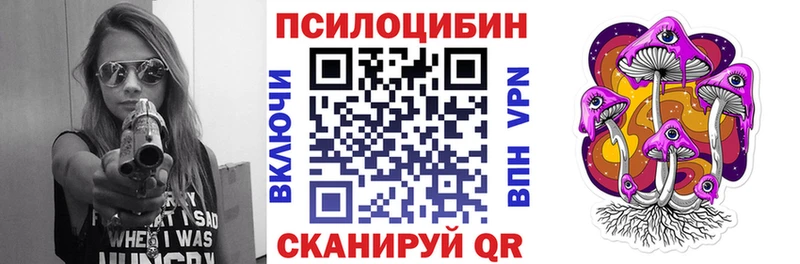 Купить  Приозерск  Псилоцибиновые грибы мухоморы 